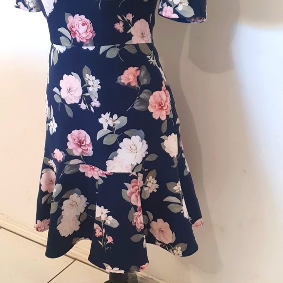 Forever New Size 8 Floral Pink and Blue Dress - Picture 3 of 7